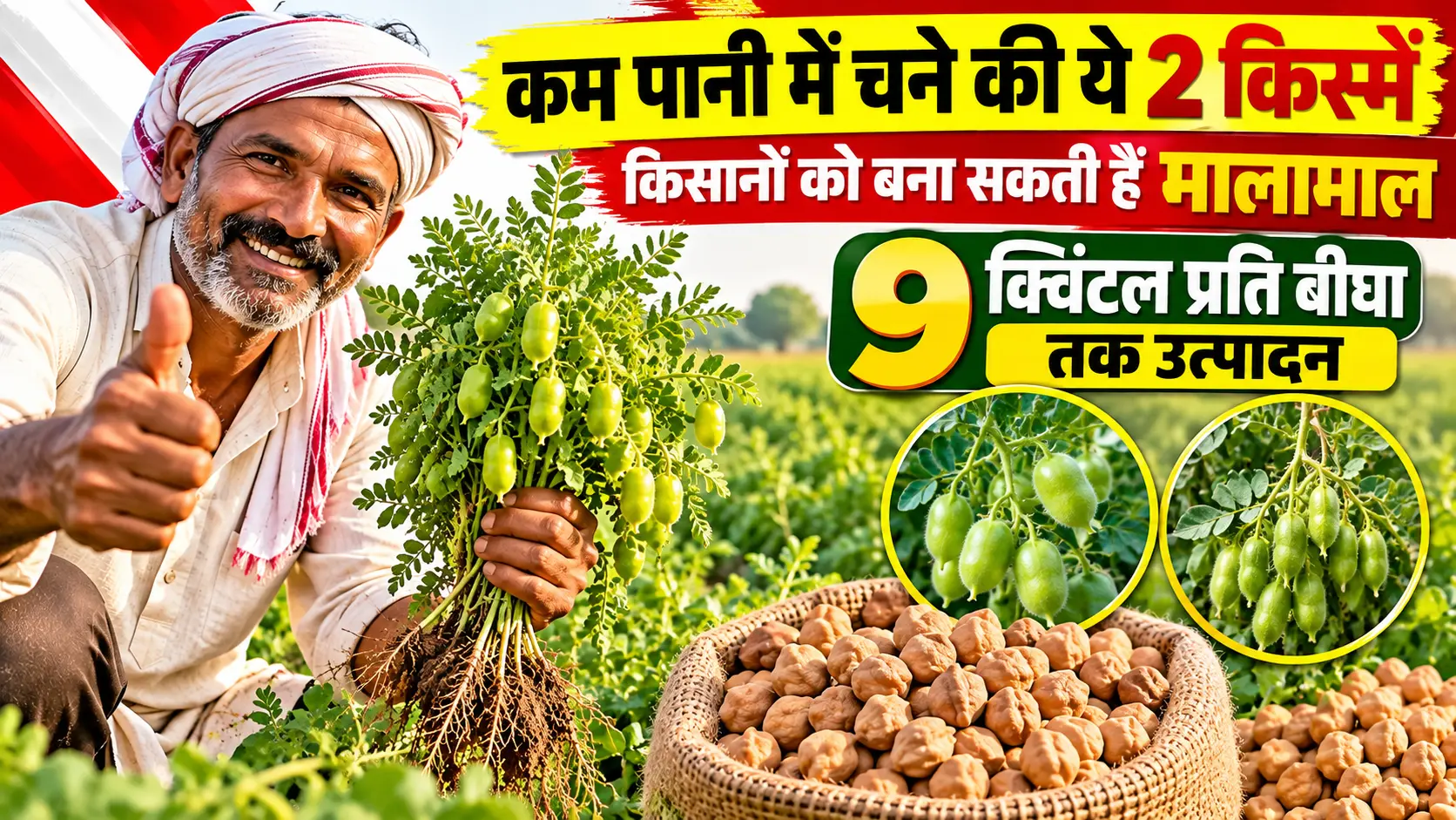 kam-pani-me-chane-ki-2-kisme-kisano-ko-bana-sakti-hain-malamal