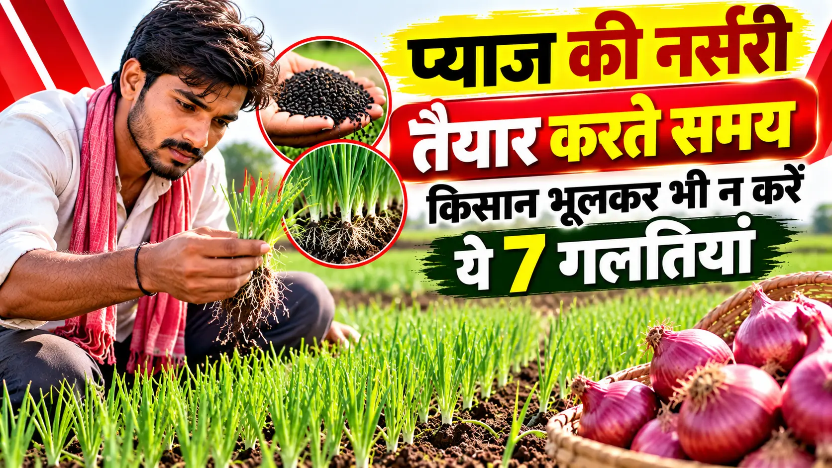 onion-nursery-tips-7-mistakes-farmers-should-avoid