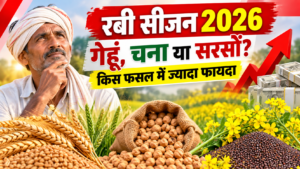 रबी 2026 किस फसल में फायदा