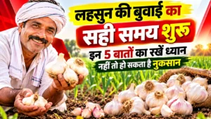 लहसुन बुवाई का सही समय