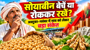 soybean-bechen-ya-rok-kar-rakhen-october-november-bhav-sanket