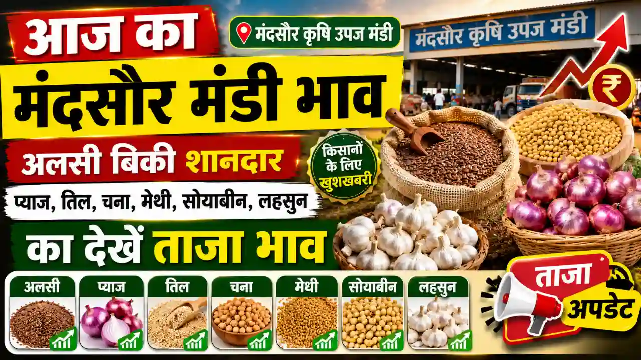 Aaj Ka Mandsaur Mandi Bhav