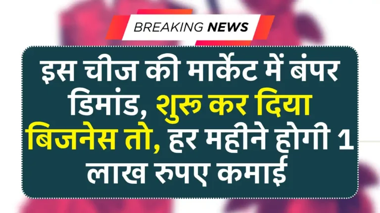 Homemade Masala Packing Business