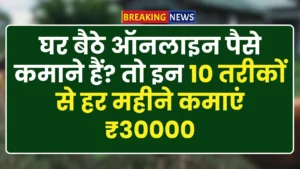 Online Form checking business Job