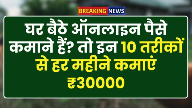 Online Form checking business Job