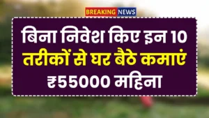 Online survey quality check job