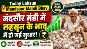Today Lahsun Mandsaur Mandi Bhav